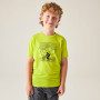 T-shirt enfant Dare 2b Amuse III Tee Frgle Sprout