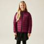 Veste enfant Regatta Junior Hooded Marizion