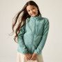 Sweatshirt enfant Regatta Junior Frankie F/Z Ivy Moss