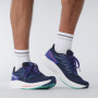Chaussures de running hommes Salomon Spectur