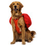 Harnais pour chien Ruffwear Palisades™ Pack