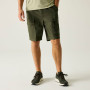 Shorts homme Regatta Arlery Shorts