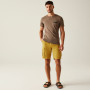 Short homme Regatta Shorebay Shorts II
