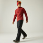 Pantalon homme Dare 2b Achieve III Insulated Pant