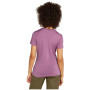 T-shirt femme Icebreaker W Mer 150 Tech Lite SS T South Const