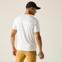 T-shirt homme Regatta Fingal Graphic T-Shirt