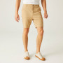 Shorts homme Regatta Sabden Short