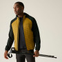 Veste homme Regatta Andreson Hybrid