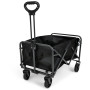Chariot Regatta Folding Cart