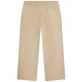 Pantalon Icebreaker Unisex Twill Adjustable Pants