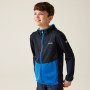 Sweatshirt enfant Regatta Prenton III