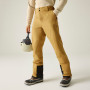 Pantalon homme Dare 2b Achieve III Pant regular