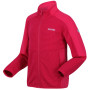 Sweatshirt enfant Regatta Jnr Highton FZ II