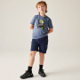 T-shirt enfant Dare 2b Amuse III Tee Mercury