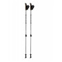 Bâtons de marche nordique Blizzard Alu Performance nordic walking poles vert silver/black