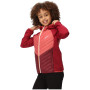 Veste enfant Regatta Kielder HybridVII