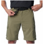 Shorts homme Columbia Silver Ridge™ Utility Cargo Short