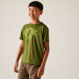 T-shirt enfant Regatta Alvarado IX