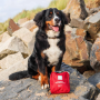 Trousse de premiers secours pour chiens Mountain Paws Ultimate Dog First Aid Kit