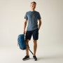 Shorts homme Regatta Bendrick Shorts