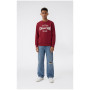 Sweatshirt enfant Champion Crewneck Sweatshirt B GMS