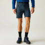 Shorts homme Regatta Xert Stretch Shorts
