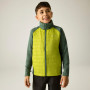 Veste enfant Regatta Boys Trekktain 3-in-1 II DrkForGlac