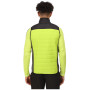 Gilet homme Regatta Halton BW VI