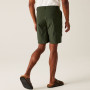 Shorts homme Regatta Dalry Short