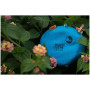 Frisbee de poche Ticket to the moon Pocket Moon Disc