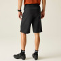 Shorts homme Dare 2b Descent Short