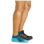 Chaussettes femme Darn Tough Light Hiker No Show Lightweight With Cushion