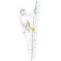 Cable confort Petzl Asap´Sorber 20cm