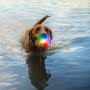 Jouet pour chien Nite Ize Glowstreak Rechargeable Led Ball