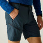 Shorts homme Regatta Xert Stretch Shorts