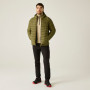 Veste homme Dare 2b Torrek Padded Jacket