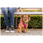 Laisse pour chien Curli Stretch Comfort Leash