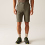 Shorts homme Regatta Highton Shorts Long II