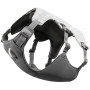 Harnais pour chien Ruffwear Swamp Cooler Harness
