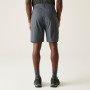 Shorts homme Regatta Dalry Short