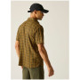 Chemise homme Regatta Begarno