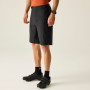 Shorts homme Dare 2b Descent Short