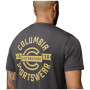 T-shirt homme Columbia Parsons Point™ SS Back Graphic Tee