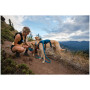 Harnais pour chien Ruffwear Switchbak™ Harness