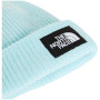 Bonnet The North Face Salty Lined Beanie