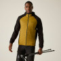 Veste homme Regatta Andreson Hybrid