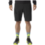 Shorts homme Dynafit Traverse Hybrid Shorts M