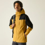 Veste homme Regatta Freesdale