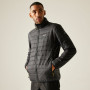 Veste homme Regatta Wentwood