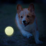 Jouet pour chien Nerf Dog Set Lightning & Sonic